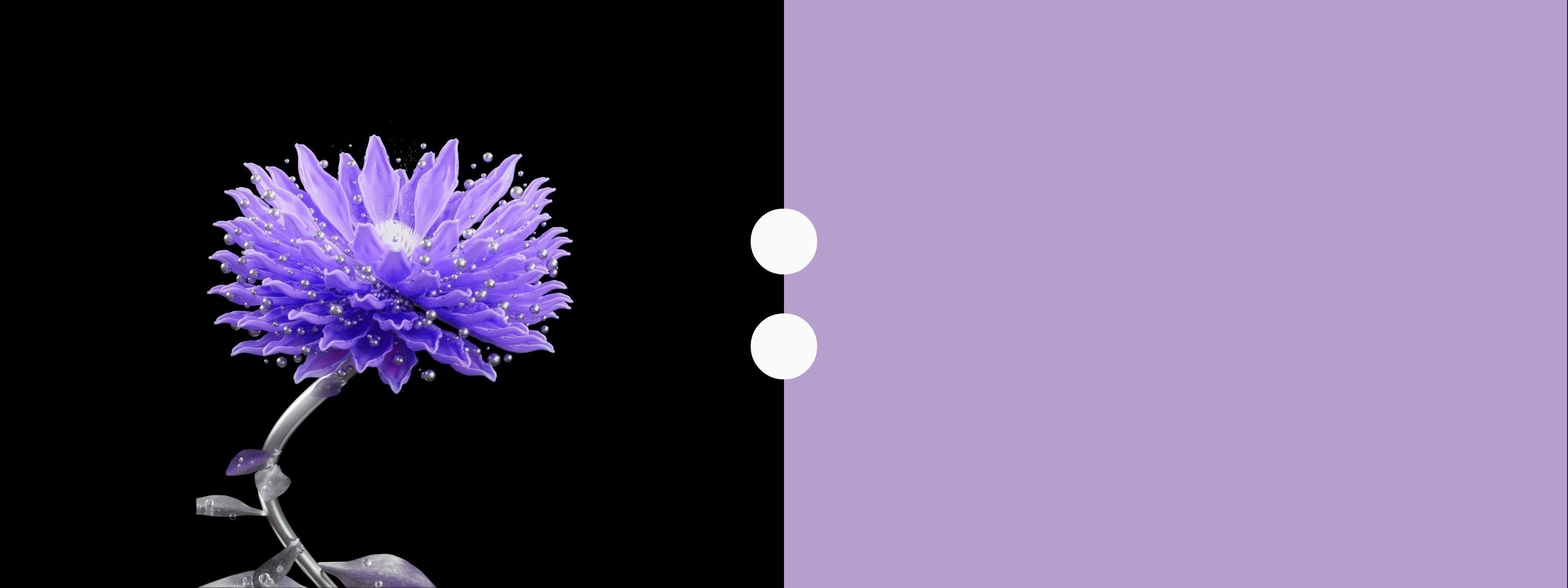 Holiday Deals - tm:rw