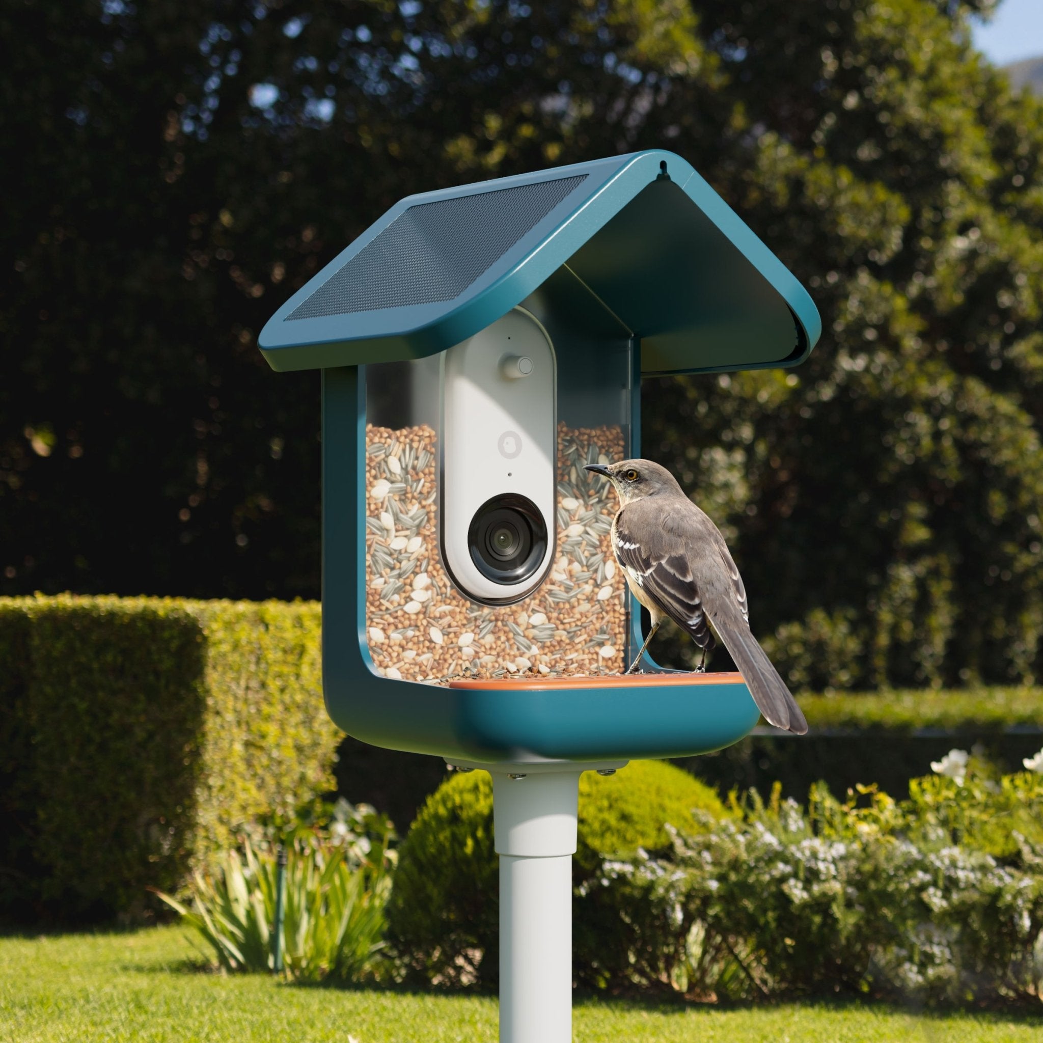 BIRD BUDDY - SMART BIRD FEEDER PRO SOLAR