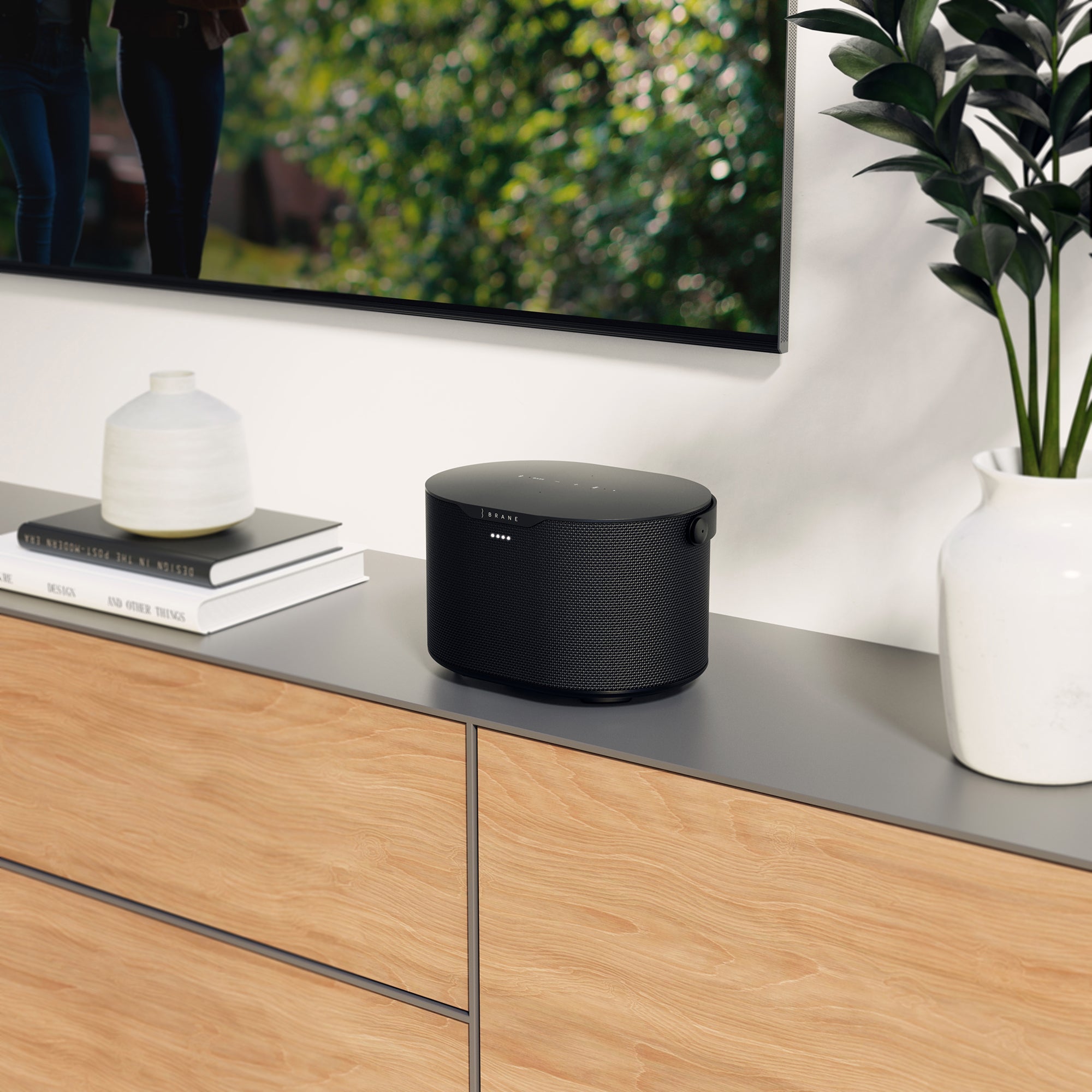 BRANE AUDIO - X SMART SPEAKER