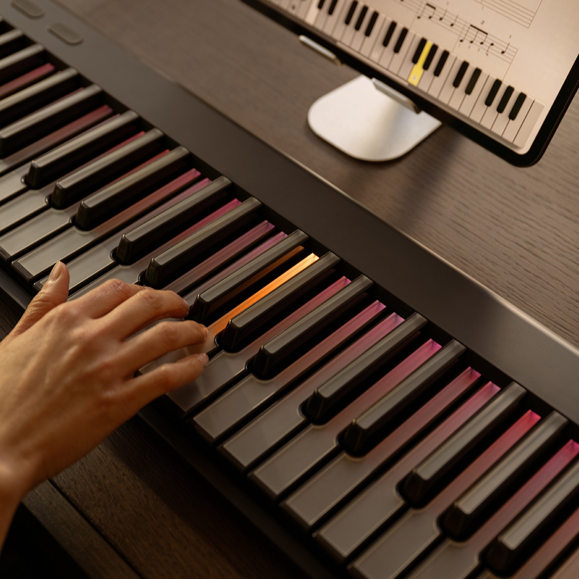 ROLI - PIANO FOR LEARNERS / MIDI KEYBOARD
