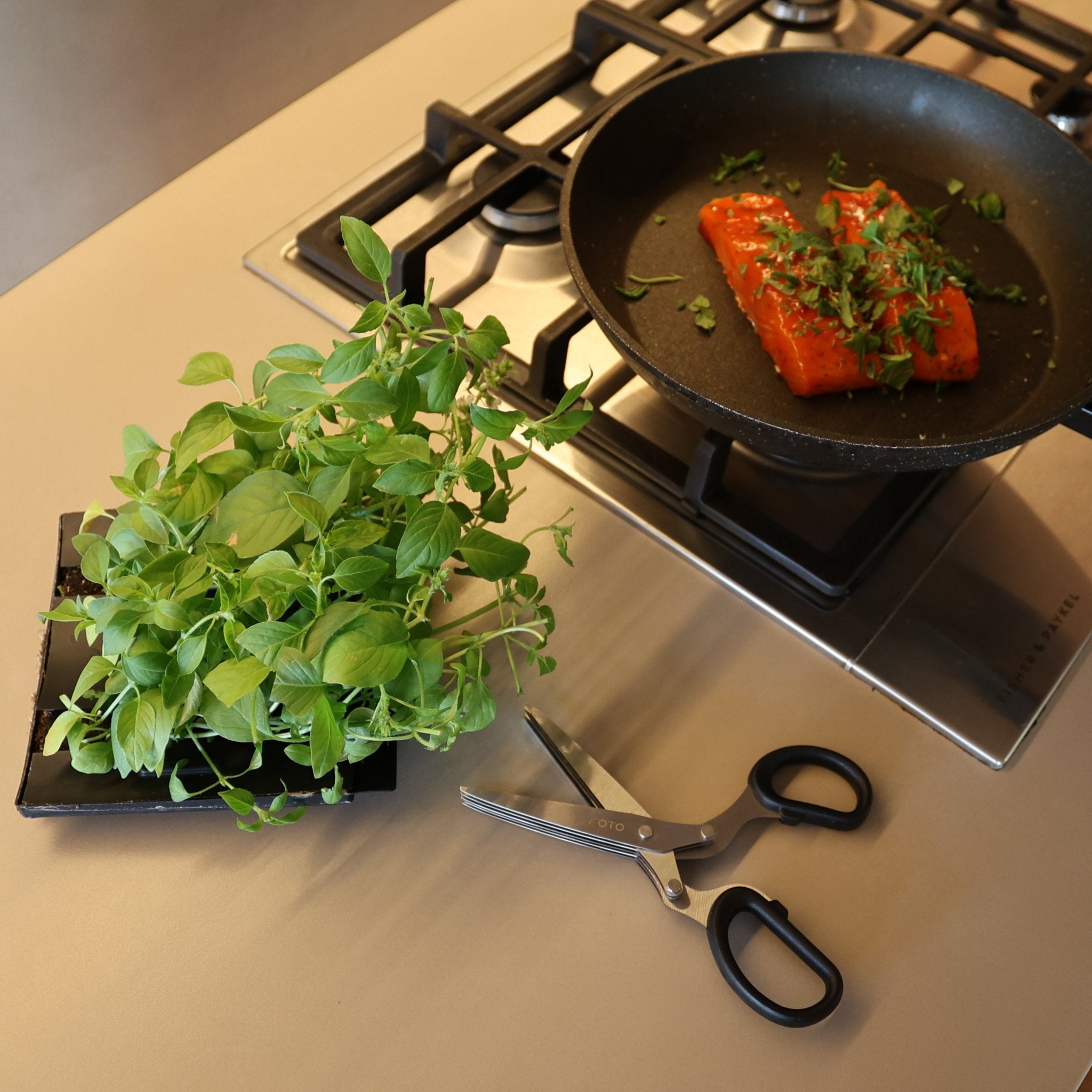 ROTO - DICING SCISSORS