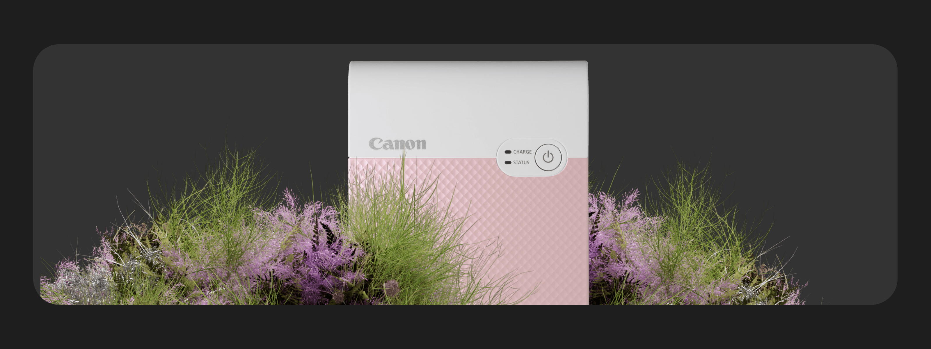 Photo, Video & Content Creation - tm:rw