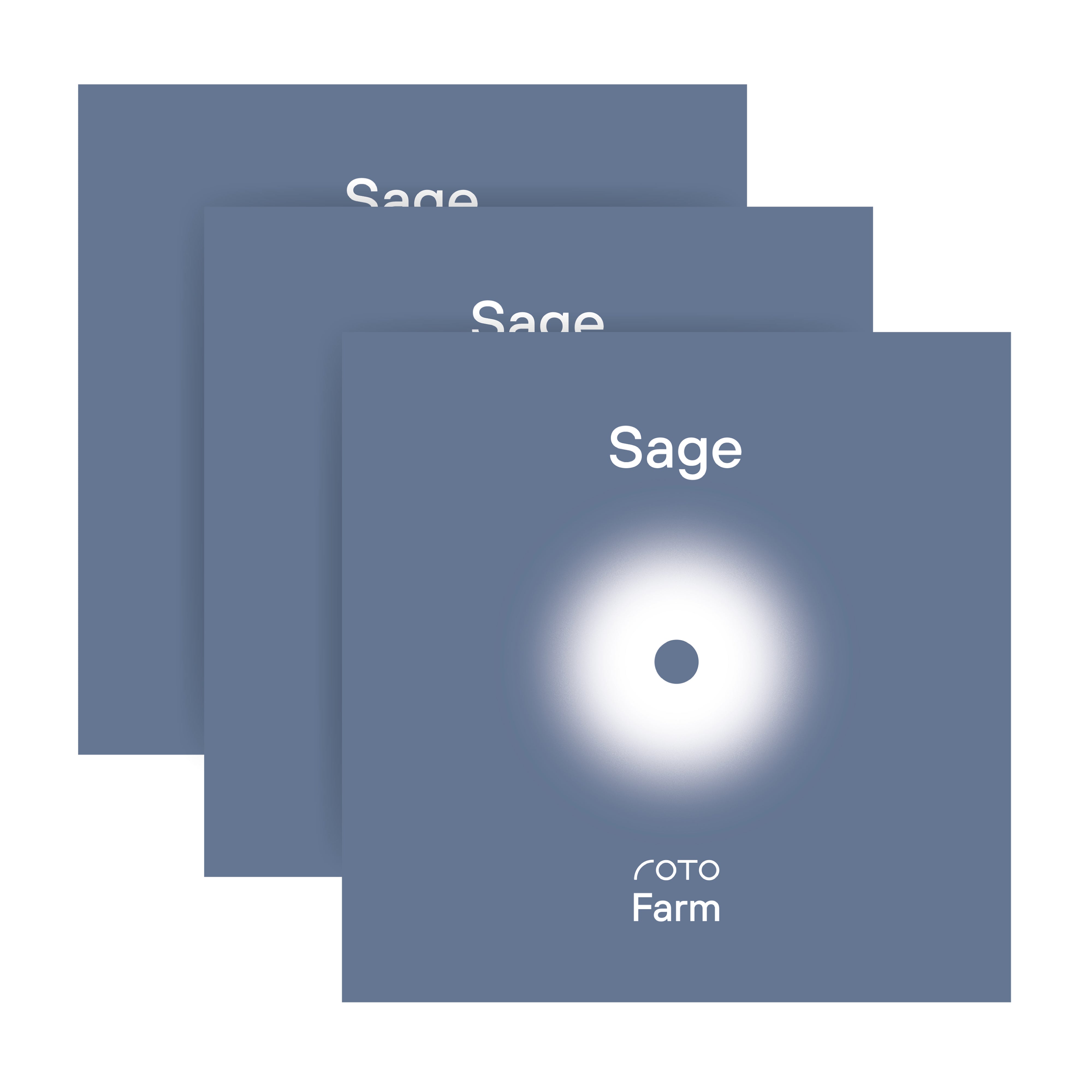 ROTO - ROTO FARM PLANT PAD - 3 PACK