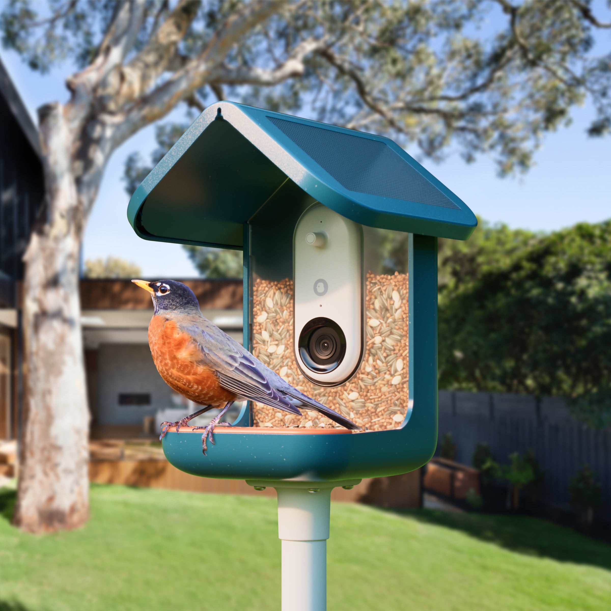 BIRD BUDDY - SMART BIRD FEEDER PRO SOLAR
