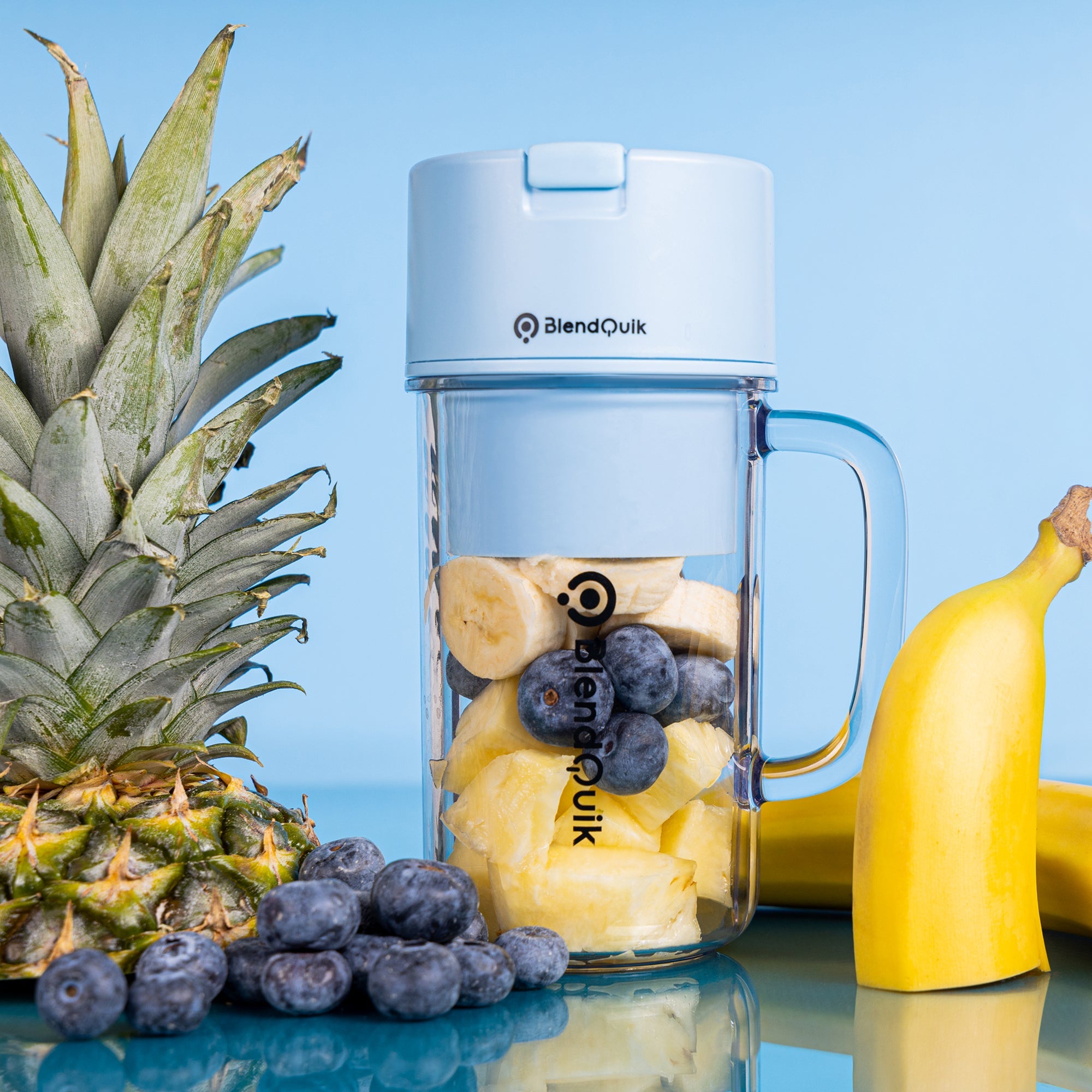 BLENDQUIK PORTABLE BLENDER