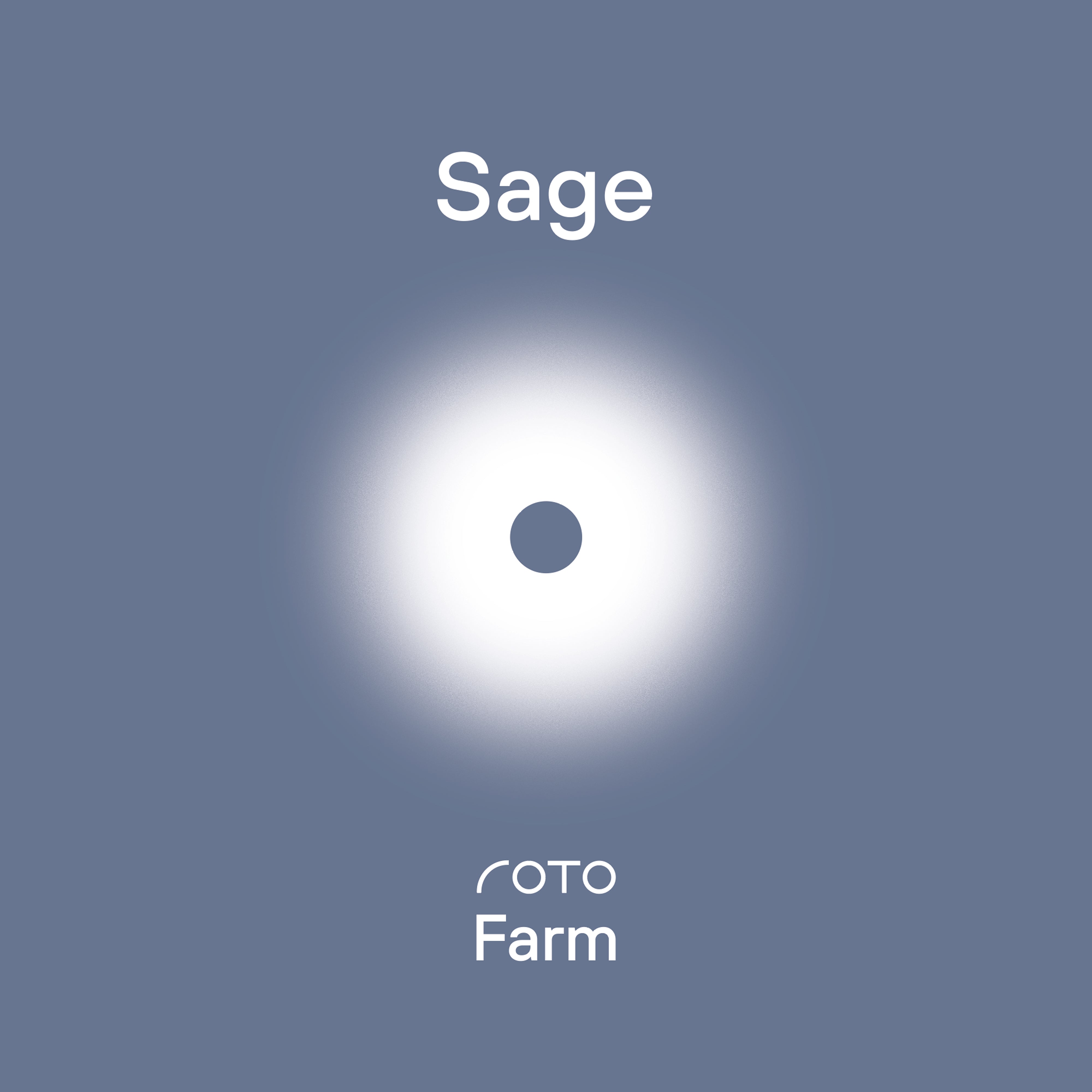 ROTO - ROTO FARM PLANT PAD - 3 PACK