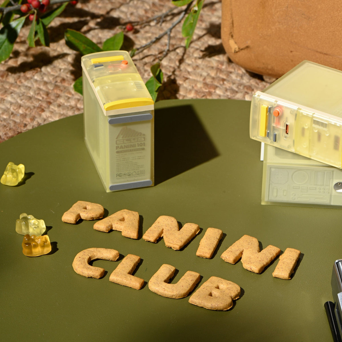 PANINI101 LIMITED EDITION