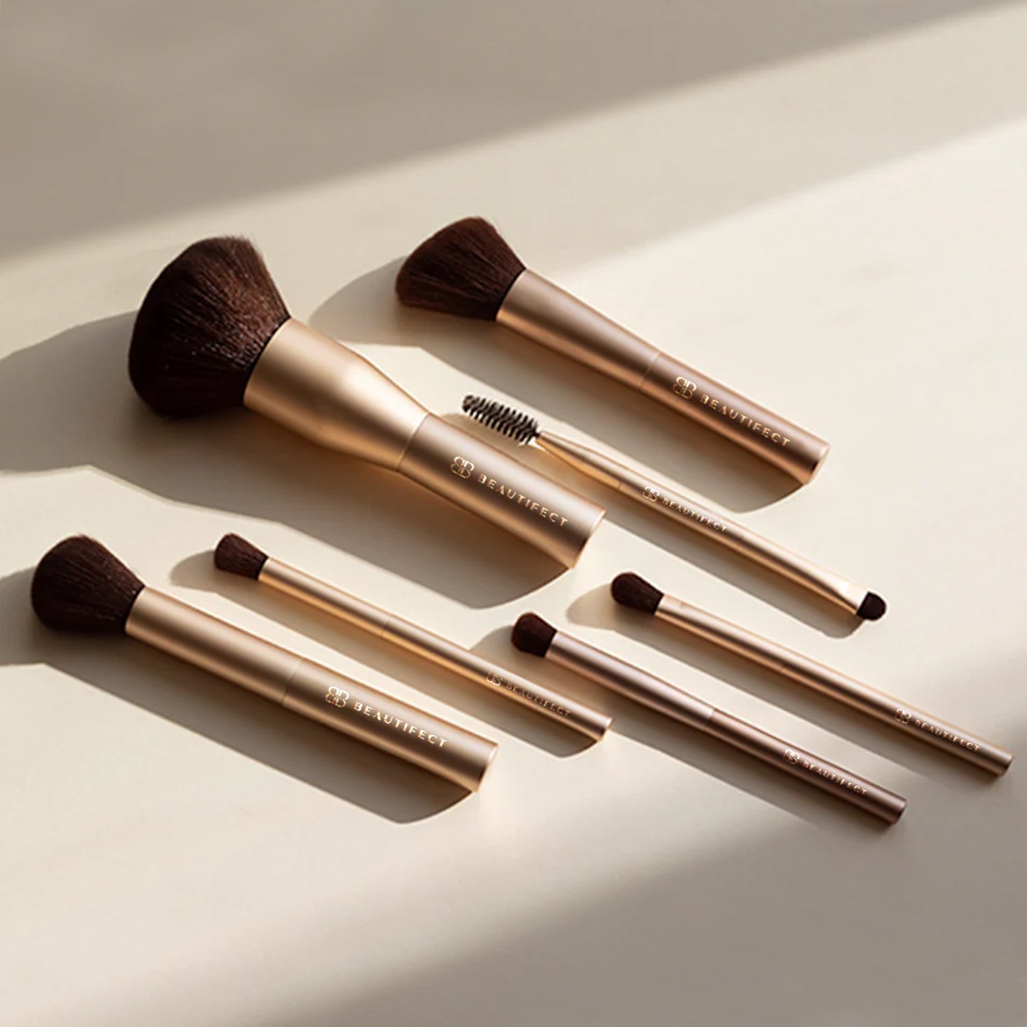 Professional Brush