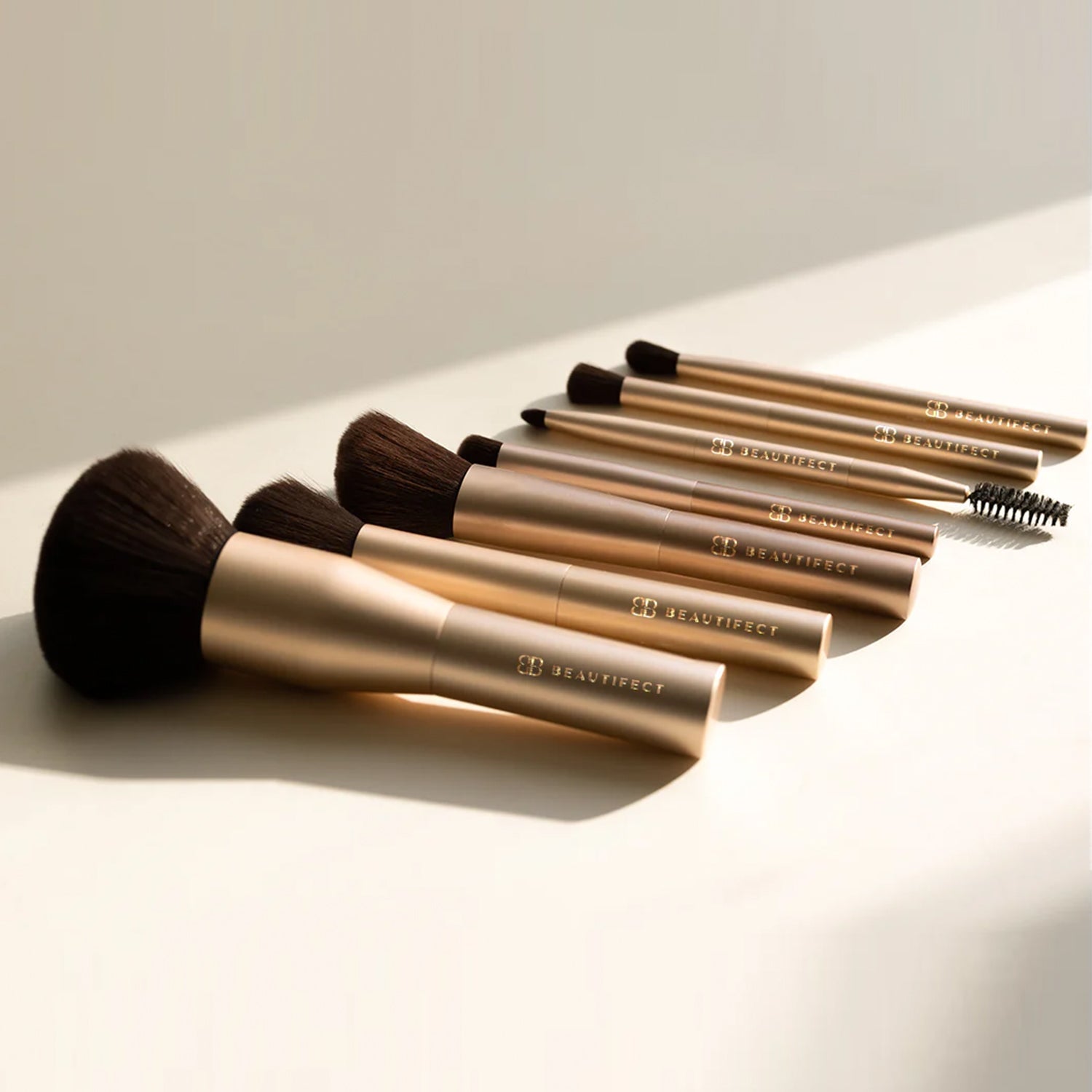 Professional Brush