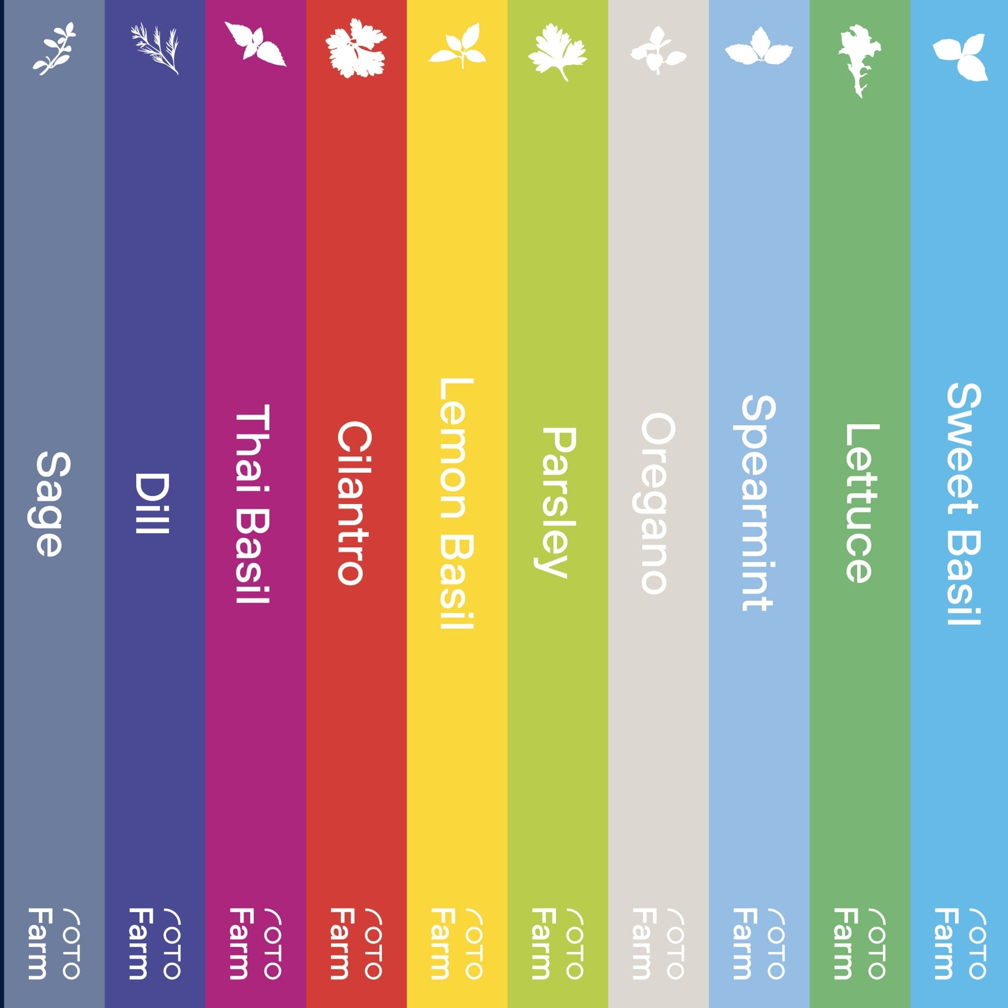 ROTO - BOX SET ROTO FARM PLANT PADS - 12 PACK